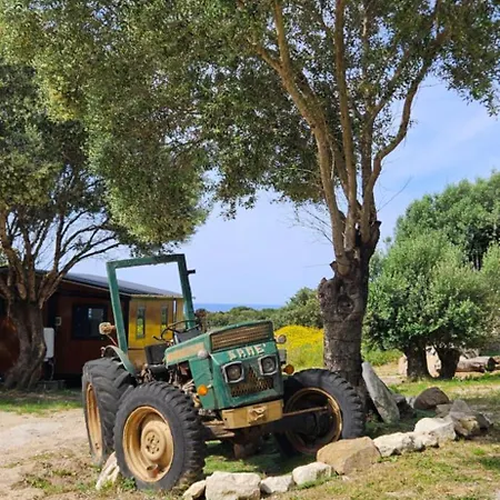 Grande Confort 3 아파트 *