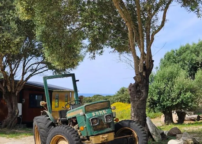 Grande Confort 3 公寓 *